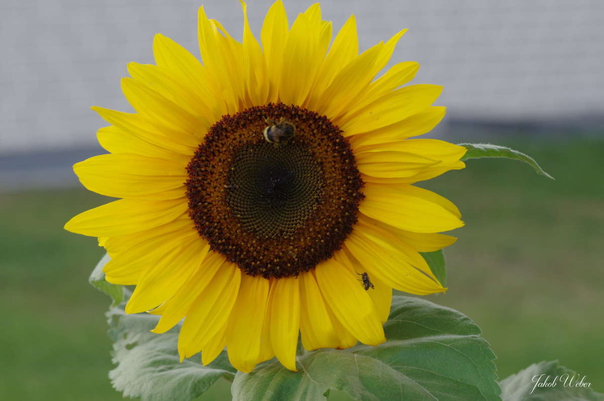 ����������� ����� ���� ����� �� PhotoGeek.ru #������ ��� ������� #����� �������������� #������