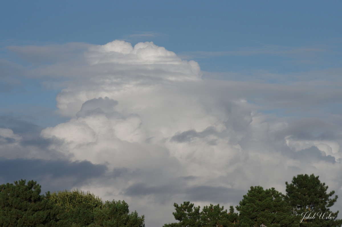 ����� ����� ���� ����� �� PhotoGeek.ru #������ ��� ������� #������ #����� ��������