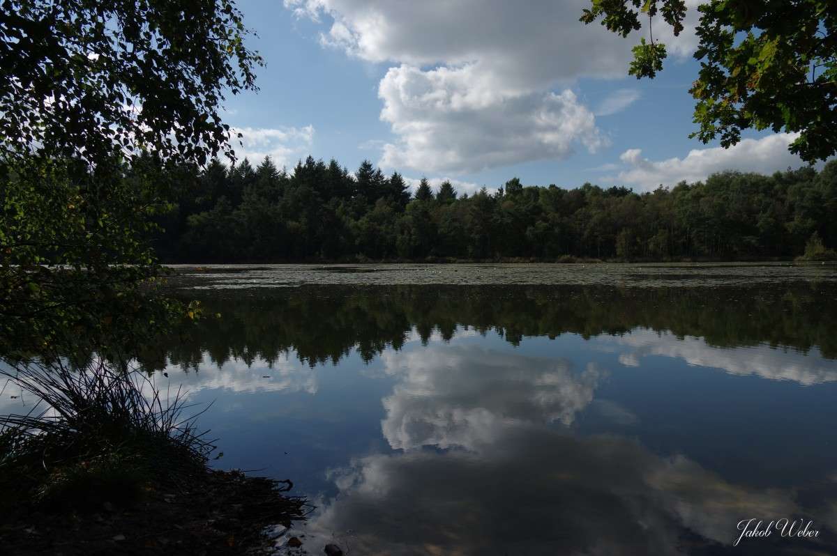 ���������� ����� ���� ����� �� PhotoGeek.ru #������ ��� ������� #������