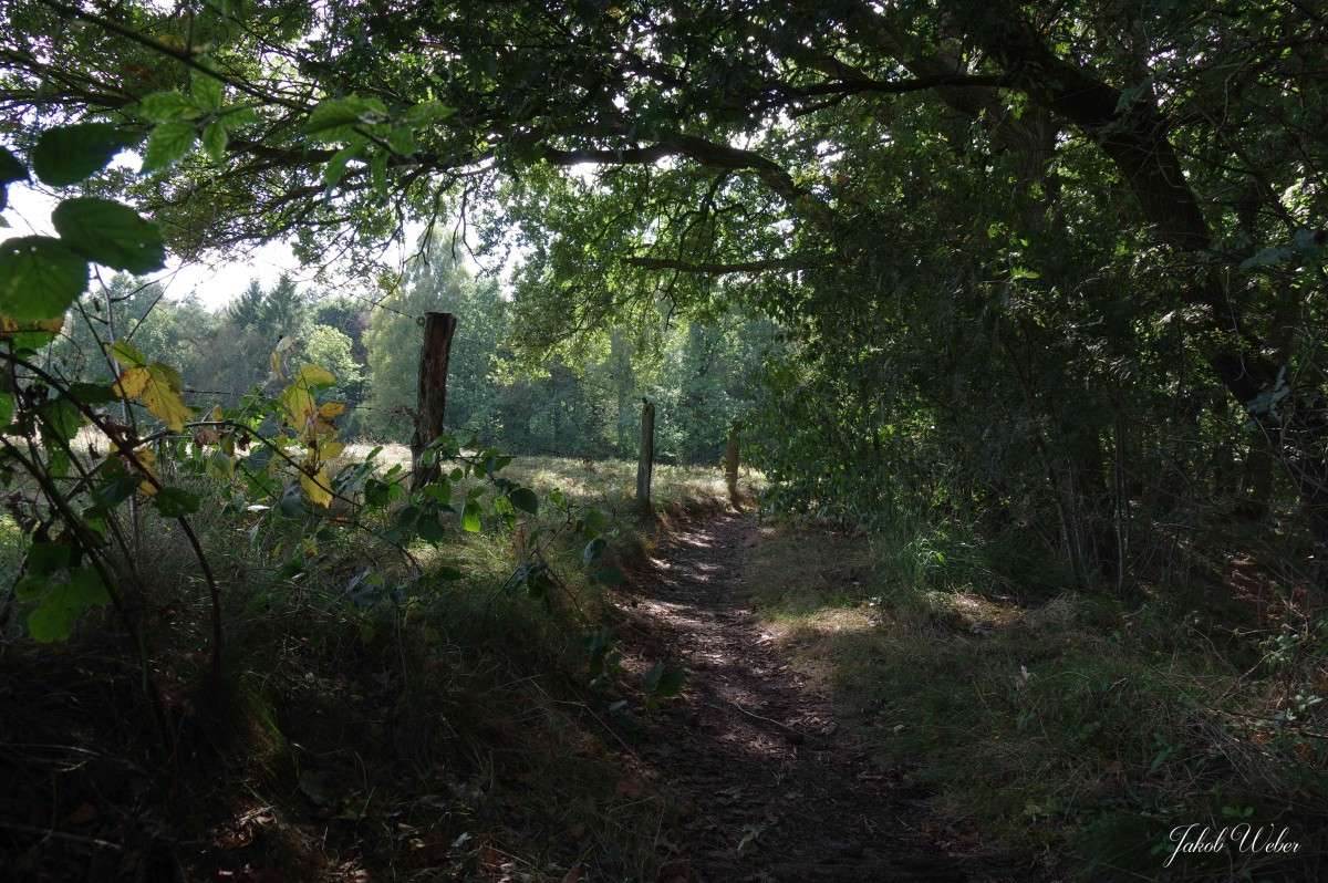 �������� ����� ���� ����� �� PhotoGeek.ru #������ ��� ������� #������