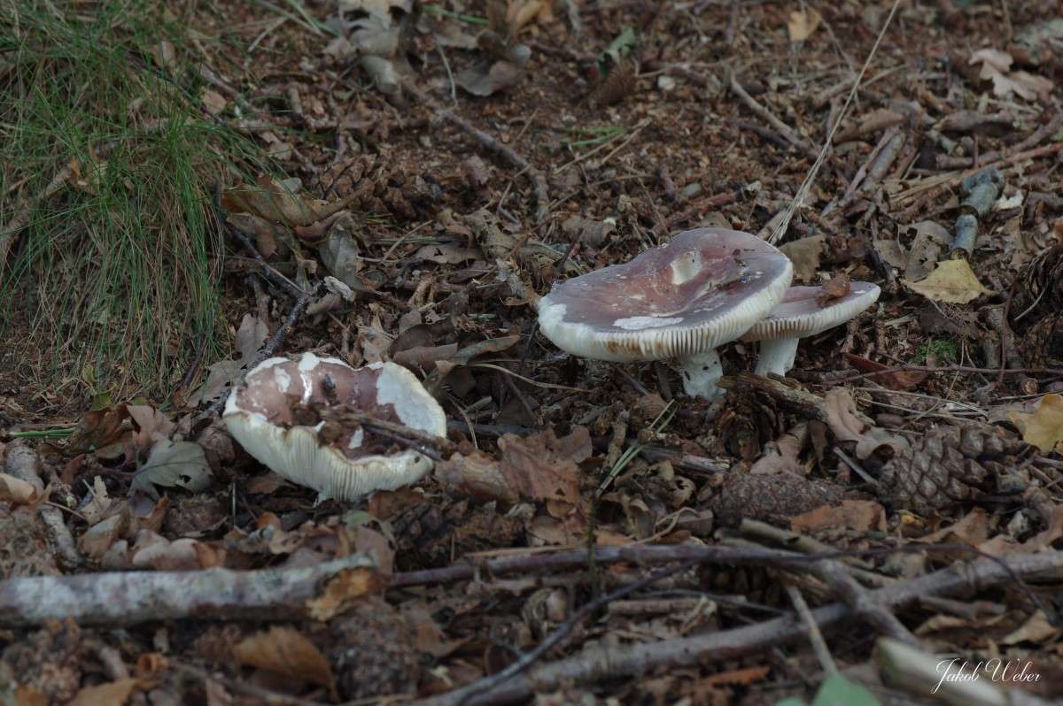 ������ ����� ���� ����� �� PhotoGeek.ru #������ ��� ������� #����� �������������� #������