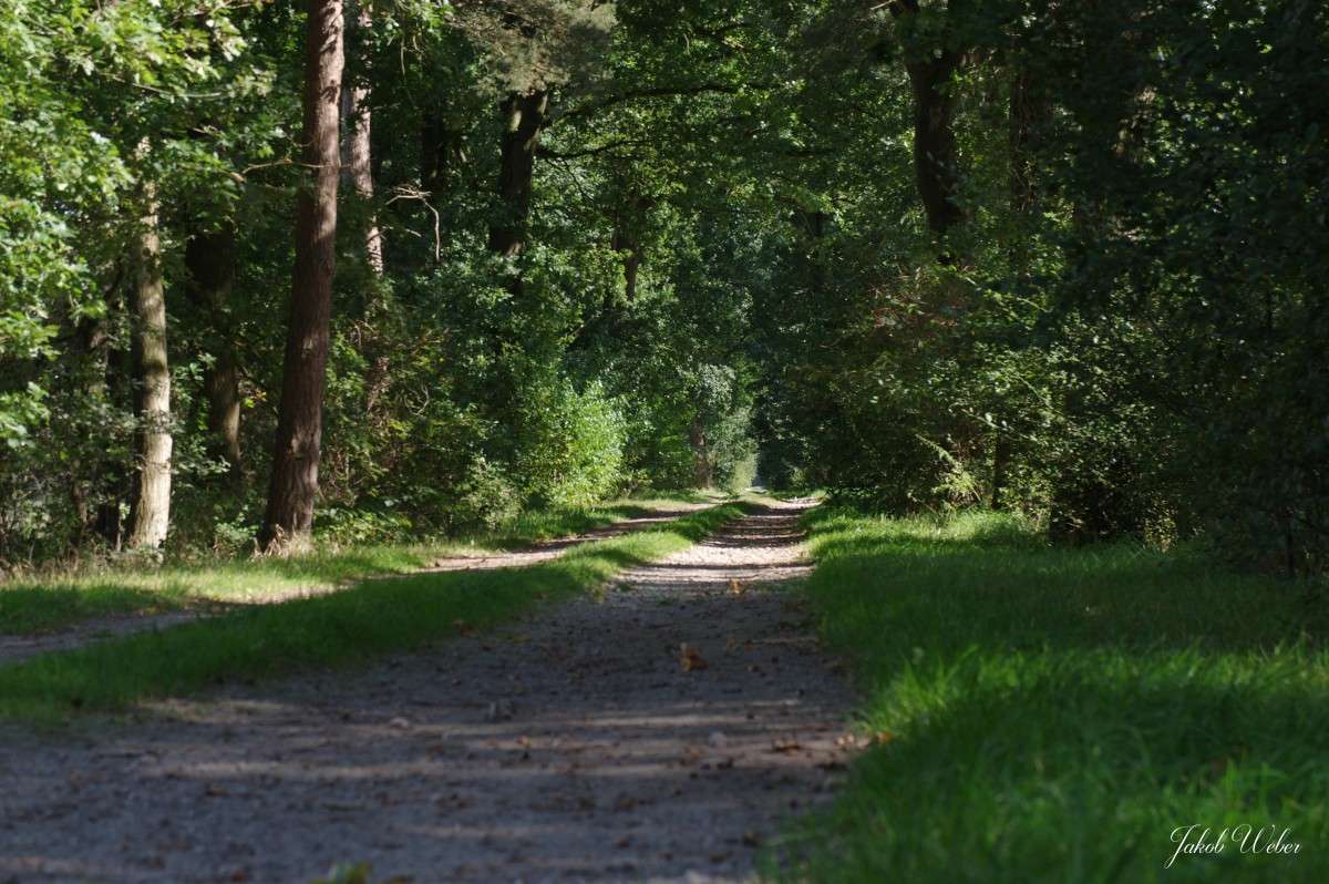 ������ ������ ����� ���� ����� �� PhotoGeek.ru #������ ��� ������� #����� �������������� #������