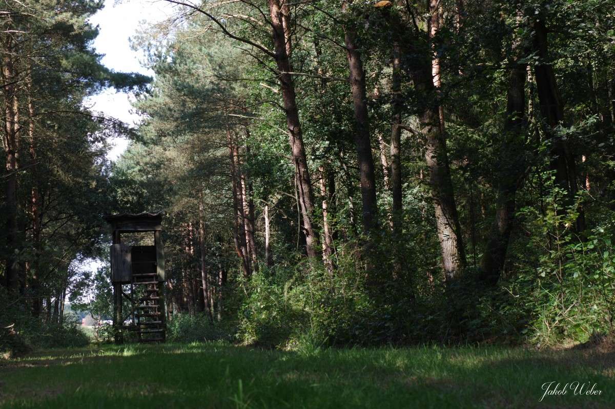 Hochsitz ����� ���� ����� �� PhotoGeek.ru #������ ��� ������� #������