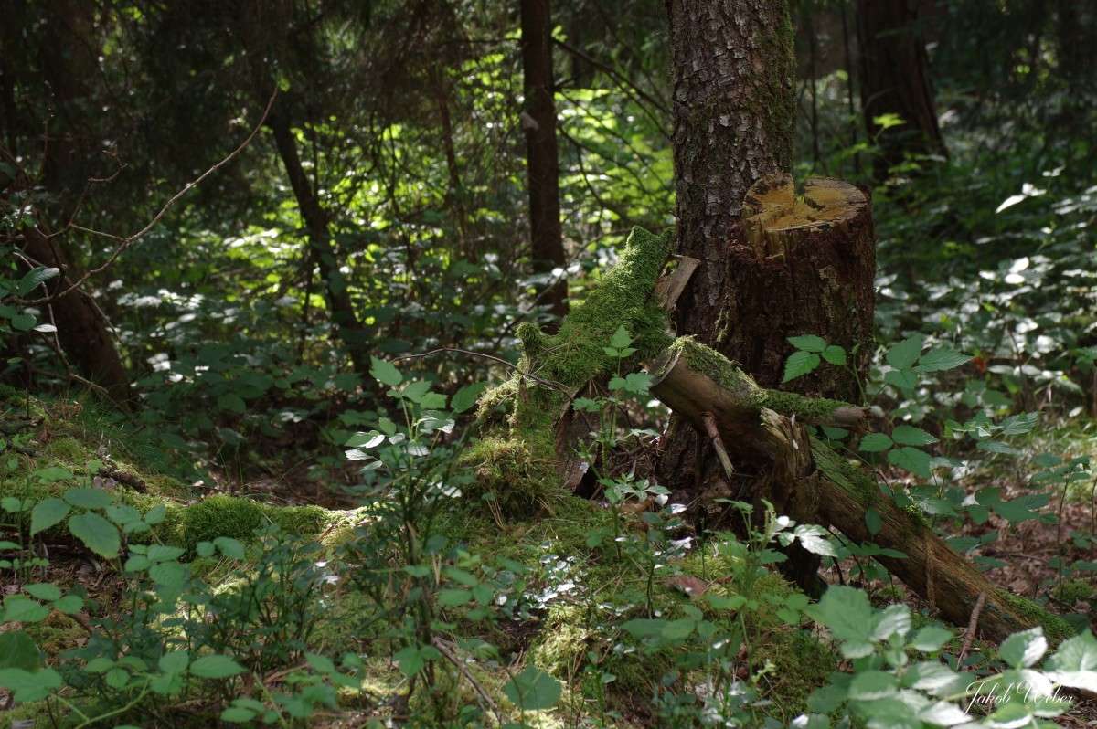 ��� �� ���� ����� ���� ����� �� PhotoGeek.ru #������ ��� ������� #����� �������������� #������