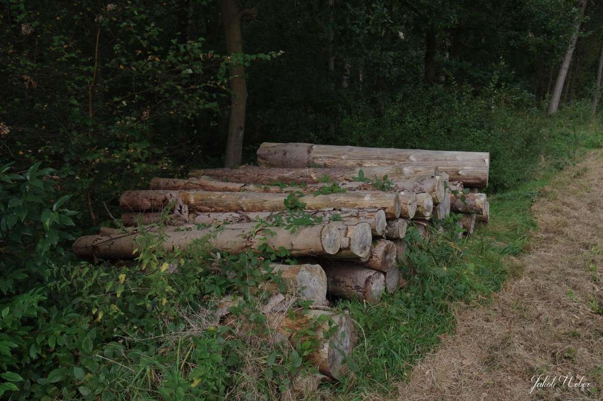 �������� ����� ���� ����� �� PhotoGeek.ru #������ ��� ������� #������