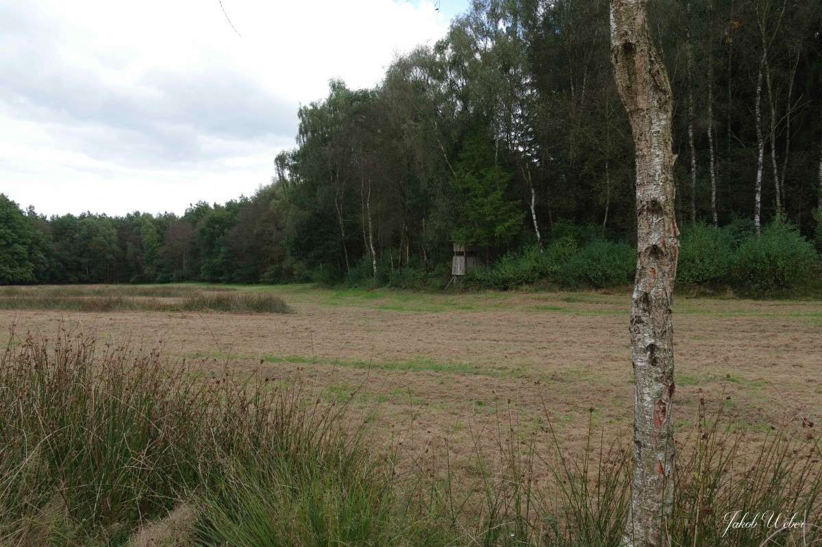 �� ������ ����� ���� ����� �� PhotoGeek.ru #������ ��� ������� #����� �������������� #������