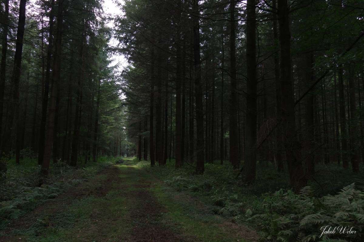 � ����� ���� ����� ���� ����� �� PhotoGeek.ru #������ ��� ������� #����� �������������� #������