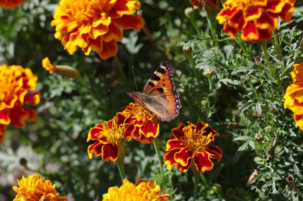 ���������� ����� ���� ����� �� PhotoGeek.ru #�������� ��� #������ ��� ������� #����� ��������������