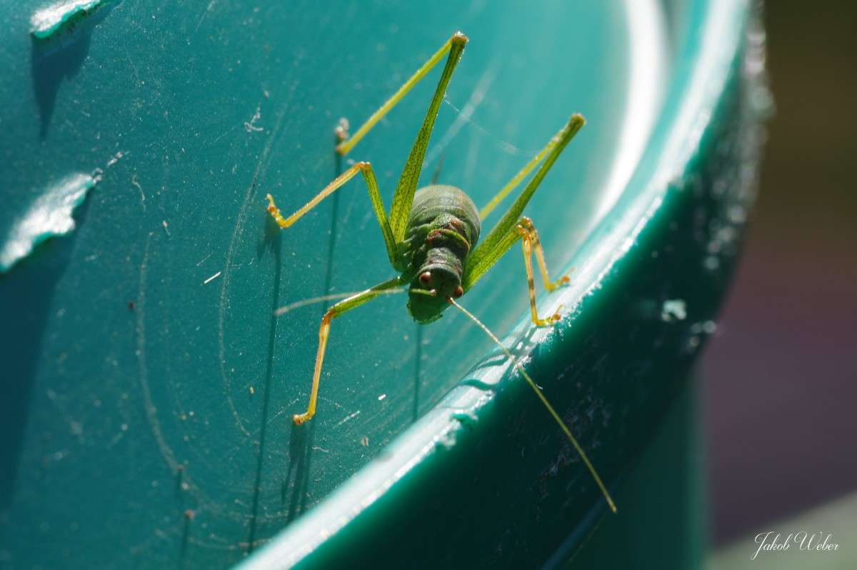 �������� ����� ���� ����� �� PhotoGeek.ru #�������� ��� #������� #������