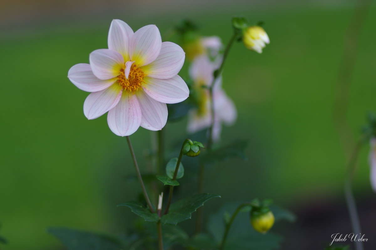 ����� ����� ���� ����� �� PhotoGeek.ru #������ ��� ������� #����� �������������� #������