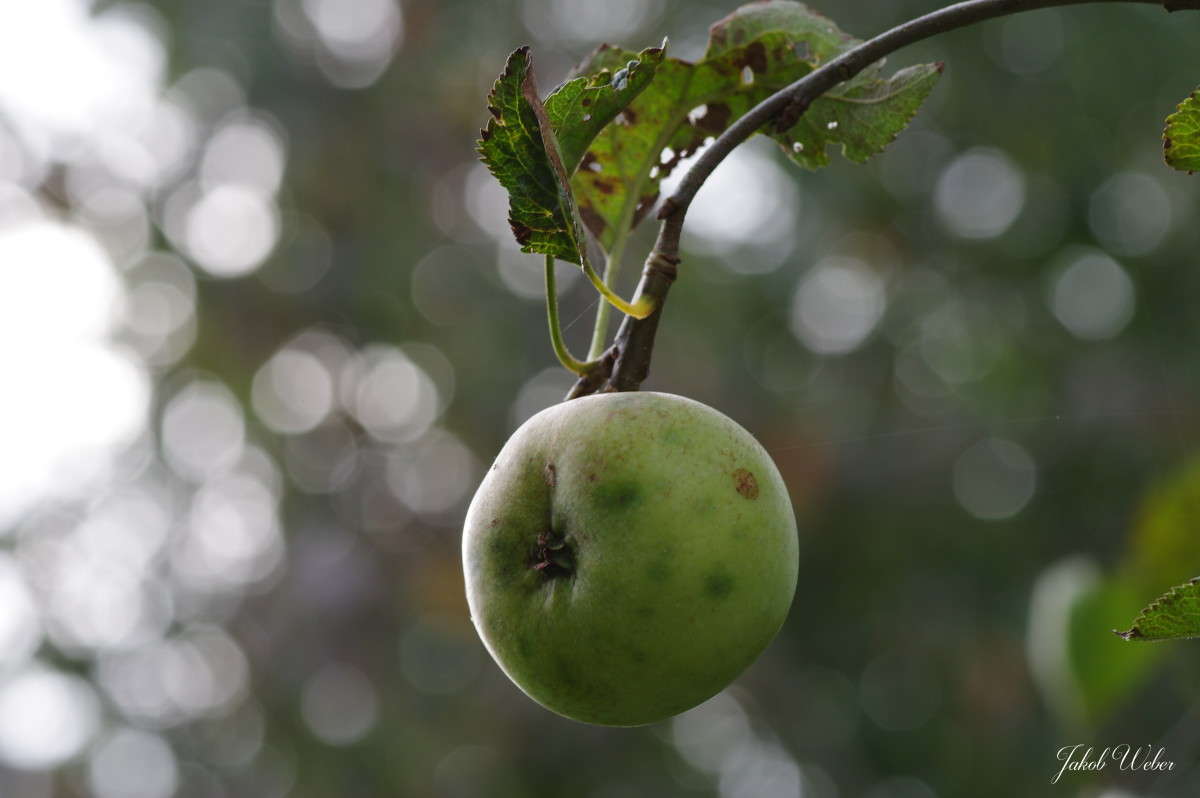 ���� ������ ����� ���� ����� �� PhotoGeek.ru #������ ��� ������� #����� �������������� #������