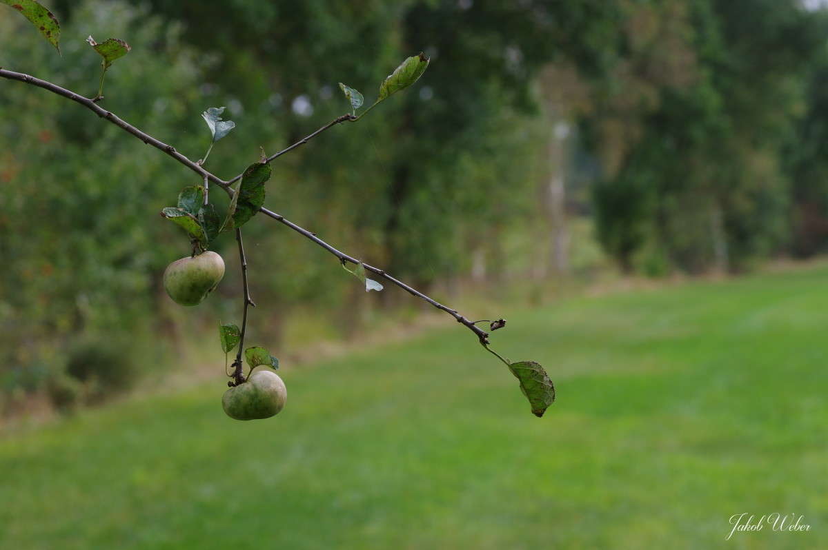 ��� ������ ����� ���� ����� �� PhotoGeek.ru #������ ��� ������� #����� �������������� #������