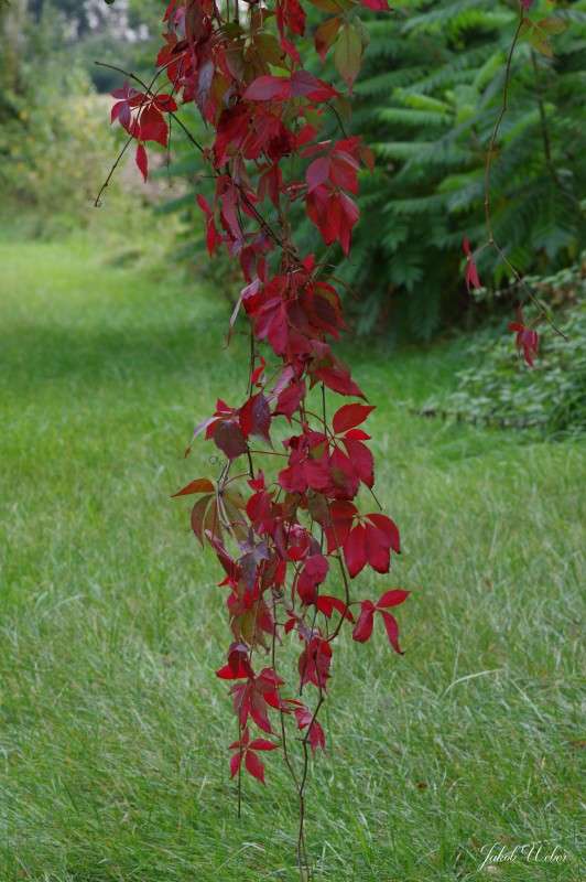 ������� ����� ���� ����� �� PhotoGeek.ru #������ ��� ������� #����� �������������� #������