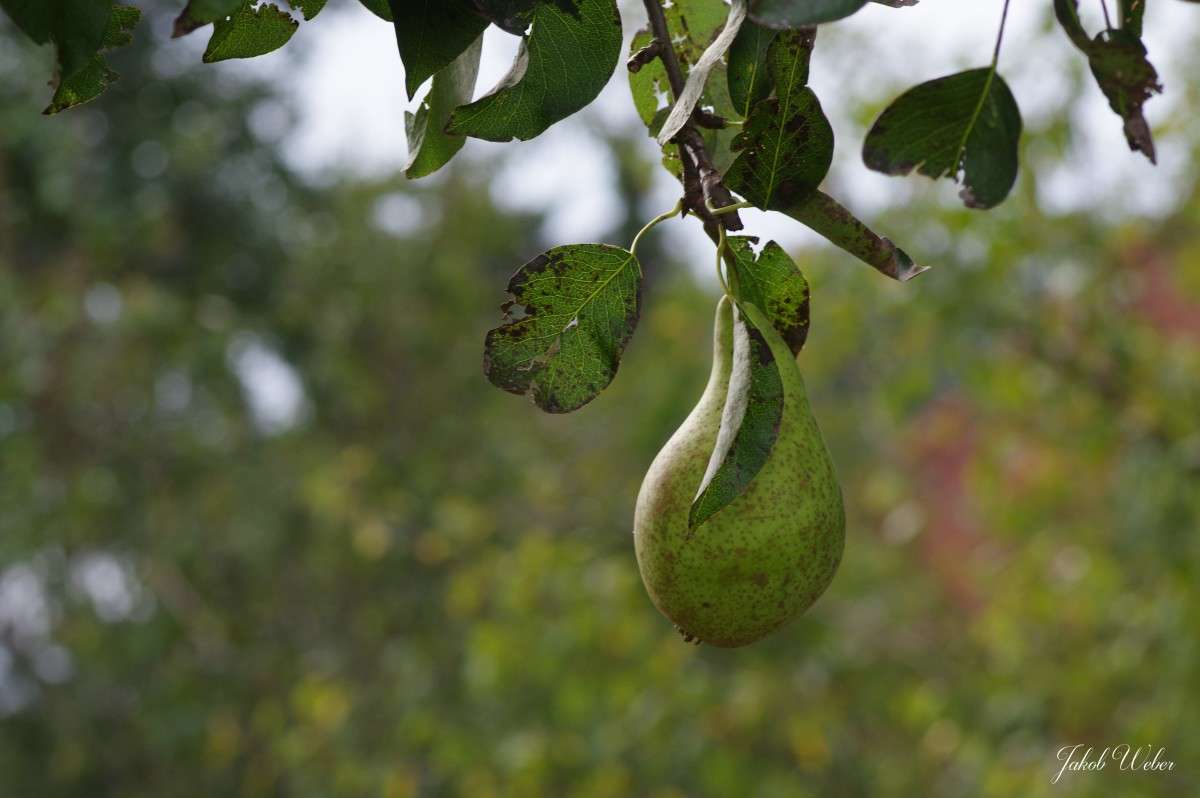 ����� ����� ���� ����� �� PhotoGeek.ru #������ ��� ������� #����� �������������� #������