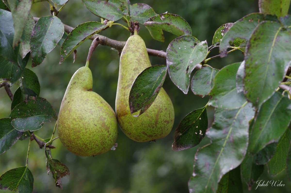 ��� ����� ����� ���� ����� �� PhotoGeek.ru #��������� #������ ��� ������� #����� �������������� #������