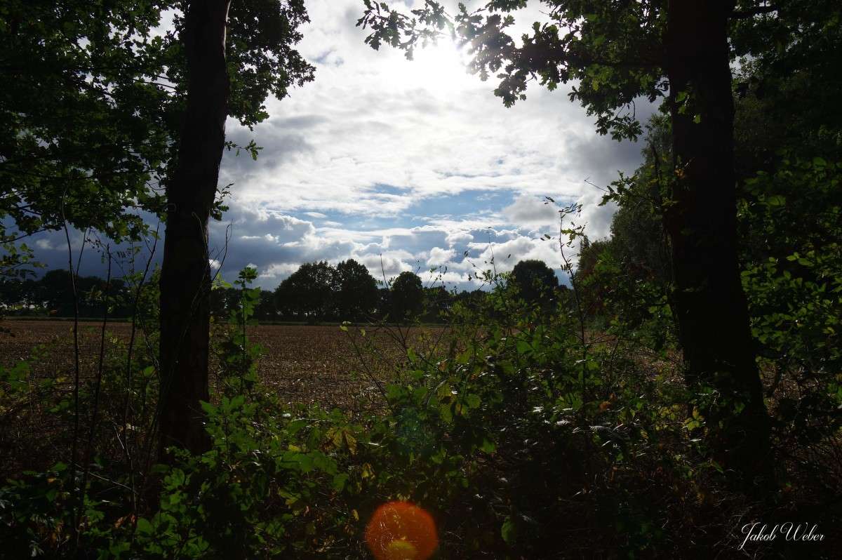 ���� � ���� ����� ���� ����� �� PhotoGeek.ru #������ ��� ������� #������