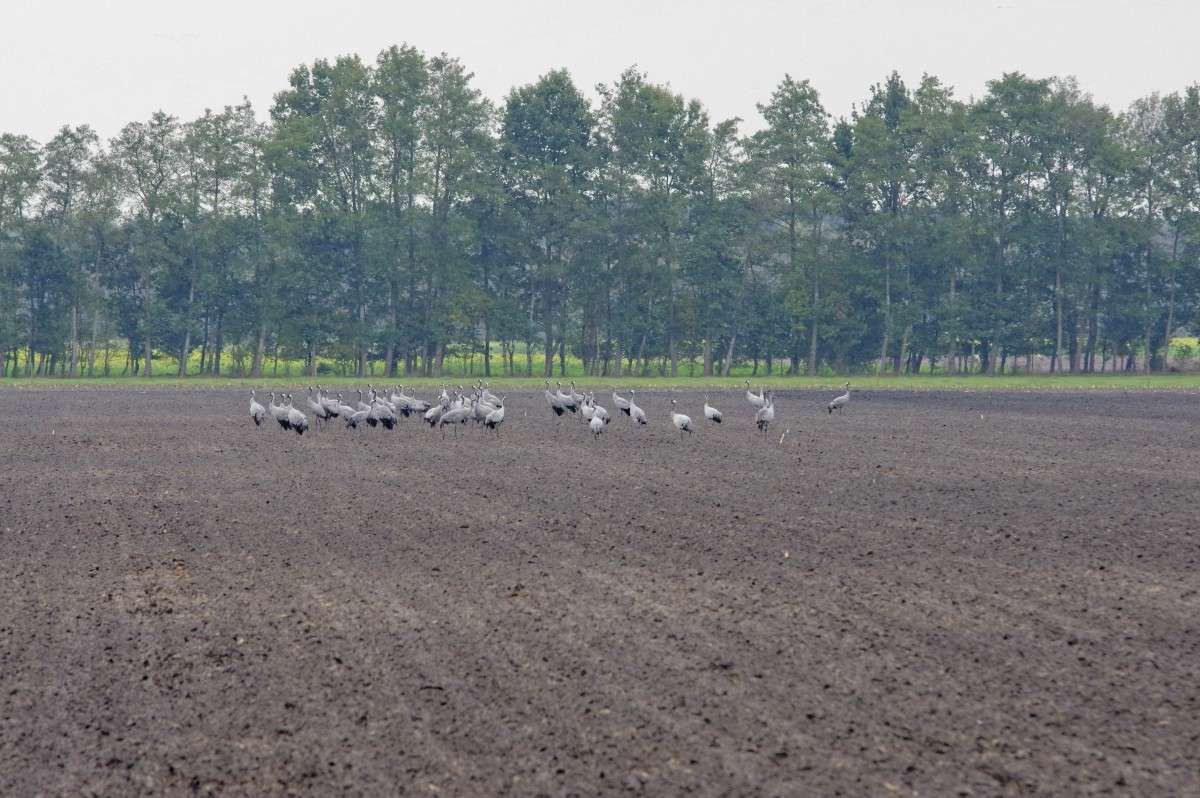 �������  �� ���� ����� ���� ����� �� PhotoGeek.ru #�������� ��� #������ ��� �������