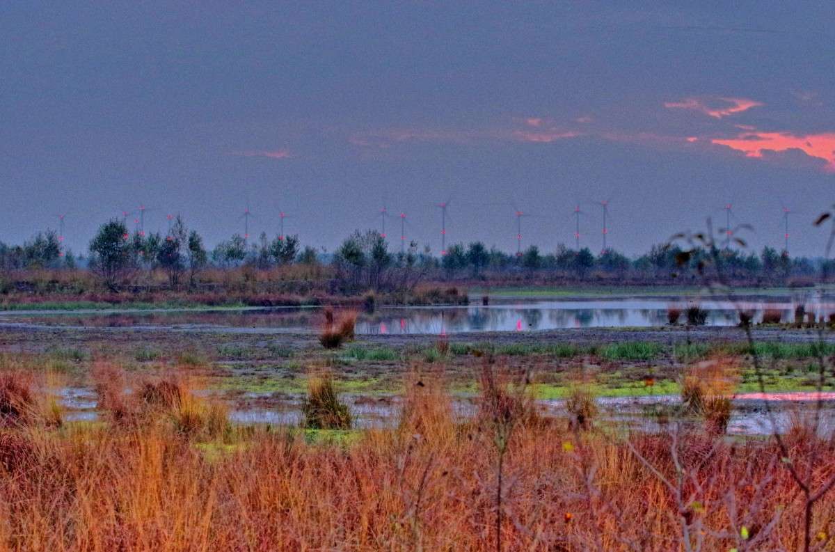 ����� ����� ���� ����� �� PhotoGeek.ru #������ ��� ������� #������