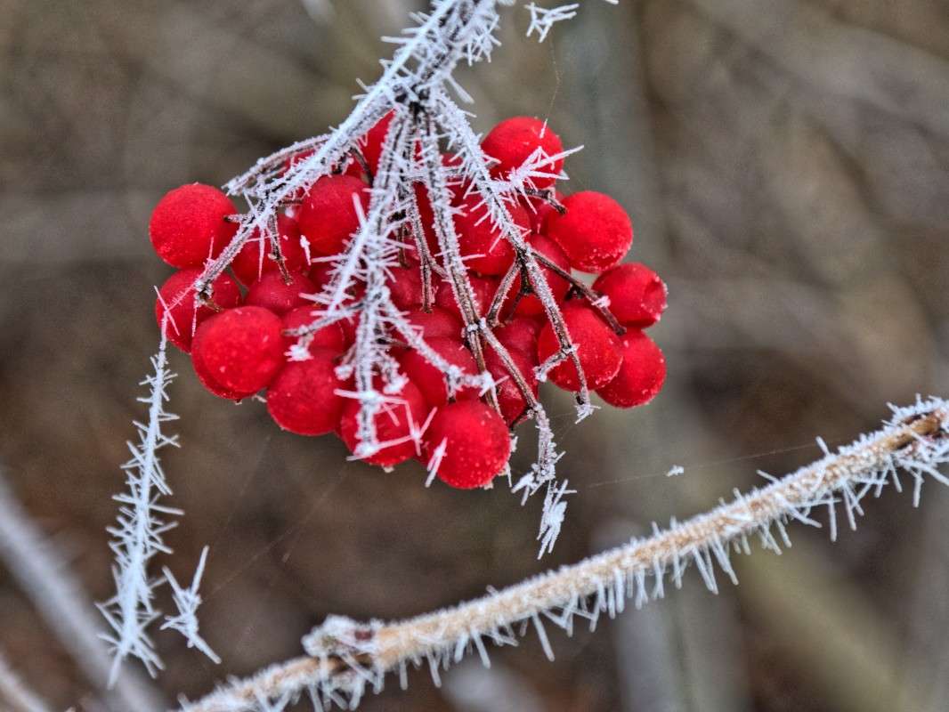 ������ ����� ����� ���� ����� �� PhotoGeek.ru #������ ��� ������� #������