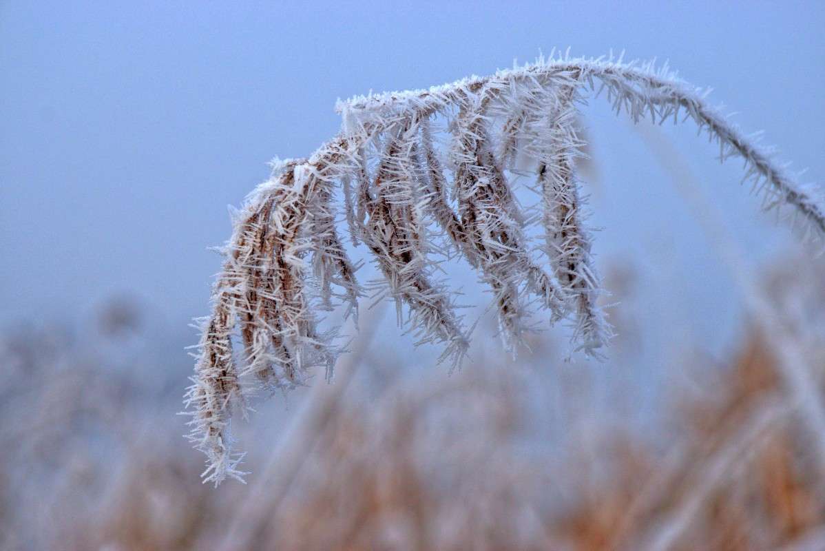 �������� � ���� ����� ���� ����� �� PhotoGeek.ru #������ ��� �������