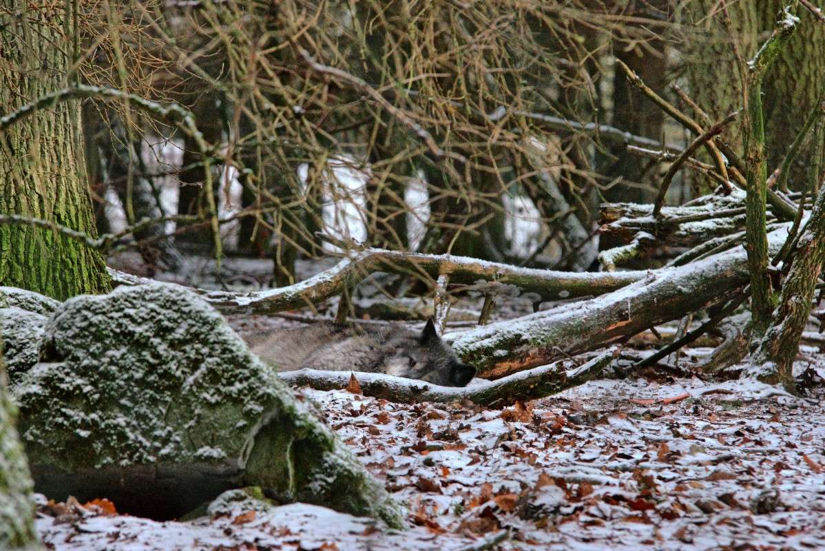 ���������� ����� ���� ����� �� PhotoGeek.ru #�������� ��� #������ ��� ������� #����� ��� ��� ��������� #������ #����� ��������