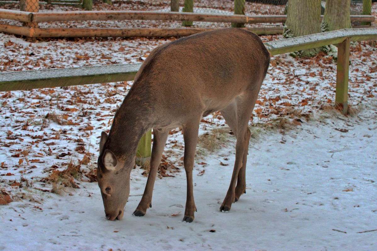 ������������ ����� ���� ����� �� PhotoGeek.ru #�������� ��� #�������� ���������� #����� ��� ��� ���������