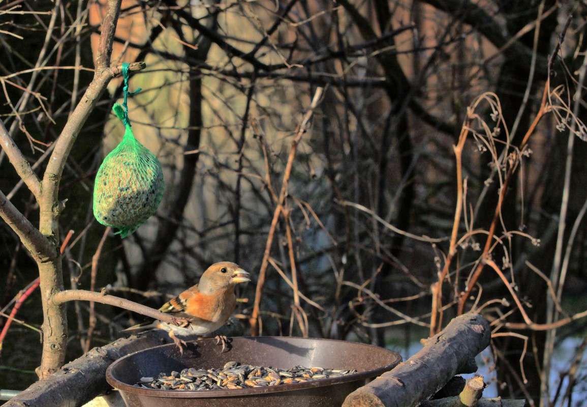 ������ ����� ���� ����� �� PhotoGeek.ru #�������� ��� #������ ��� ������� #����� ��� ��� ��������� #������