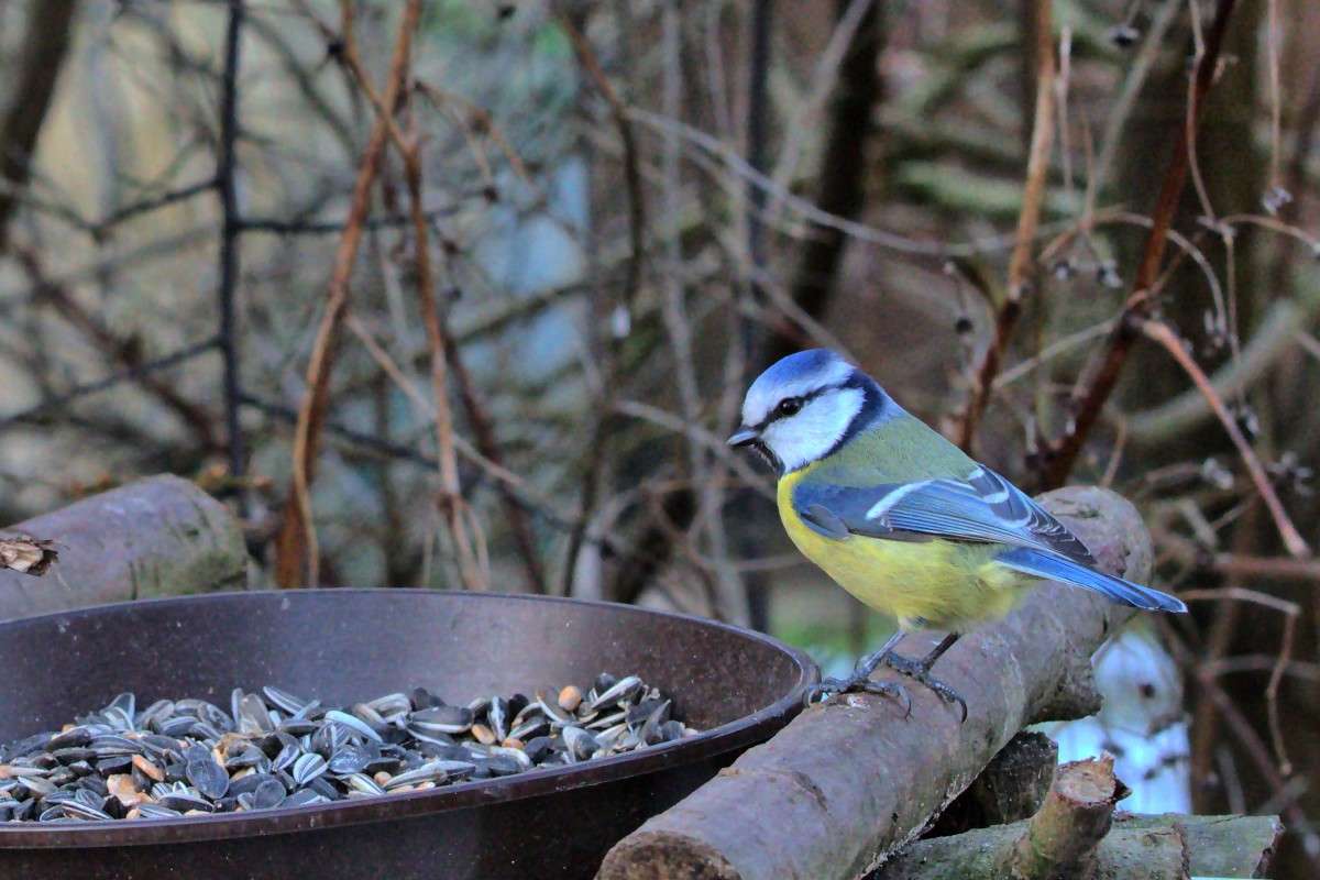 ��������� ����� ���� ����� �� PhotoGeek.ru #�������� ��� #������ ��� ������� #����� ��� ��� ��������� #������