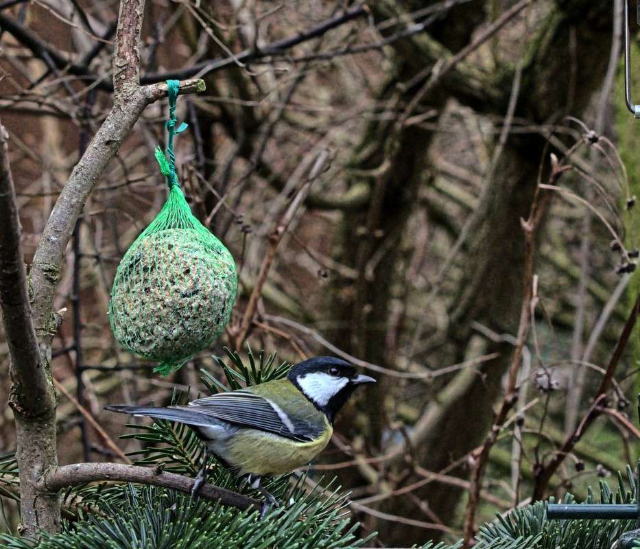 ������ ����� ���� ����� �� PhotoGeek.ru #�������� ��� #������ ��� ������� #����� ��� ��� ��������� #������