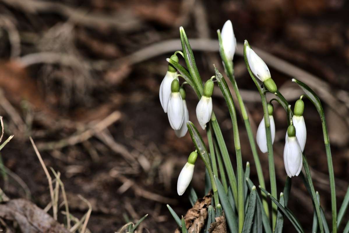 ����������� ����� ���� ����� �� PhotoGeek.ru #������ ��� ������� #����� �������������� #������