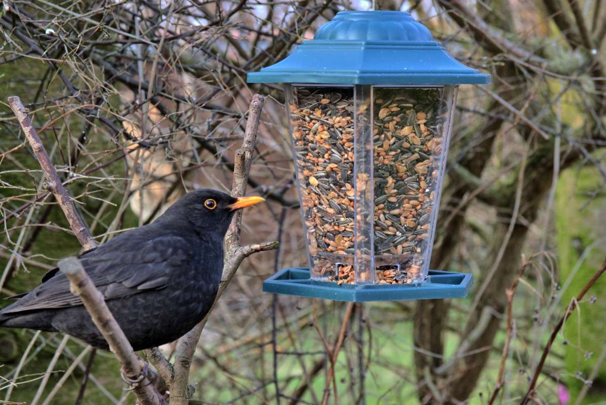 ����� ����� ���� ����� �� PhotoGeek.ru #�������� ��� #������ ��� ������� #����� ��� ��� ��������� #������