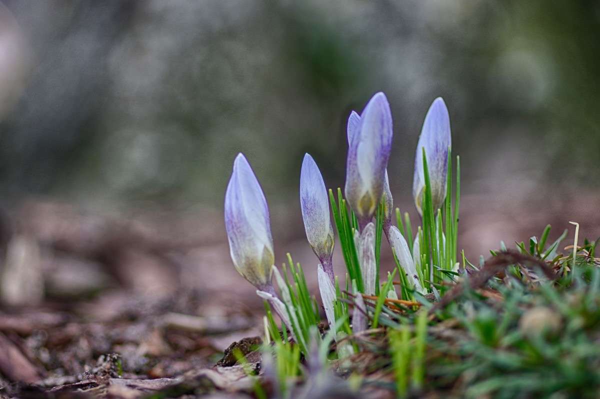 ... ����� ���� ����� �� PhotoGeek.ru #������ ��� ������� #�������� ���������� #����� �������������� #������