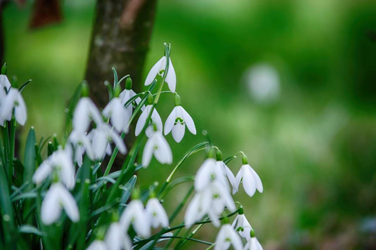 ����������� ����� ���� ����� �� PhotoGeek.ru #������ ��� ������� #�������� ���������� #����� �������������� #������