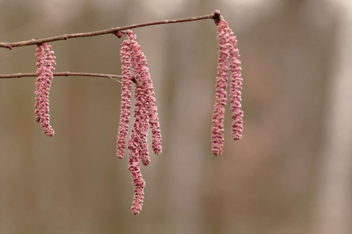 ������ ����� ���� ����� �� PhotoGeek.ru #������ ��� ������� #�������� ���������� #����� �������������� #������