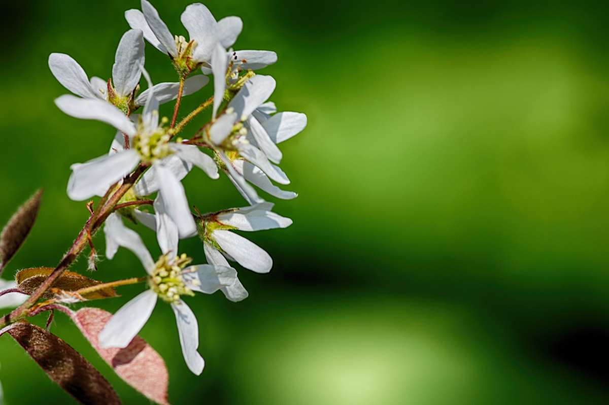 ������� ����� ���� ����� �� PhotoGeek.ru #����� #������ ��� ������� #����� ��������������