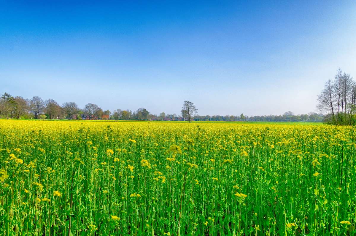 ����, �������� ����. ����� ���� ����� �� PhotoGeek.ru #������ ��� ������� #����� ��������������