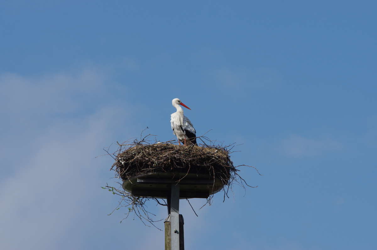 ���� � ������. ����� ���� ����� �� PhotoGeek.ru #�������� ��� #������ ��� ������� #����� ��� ��� ���������