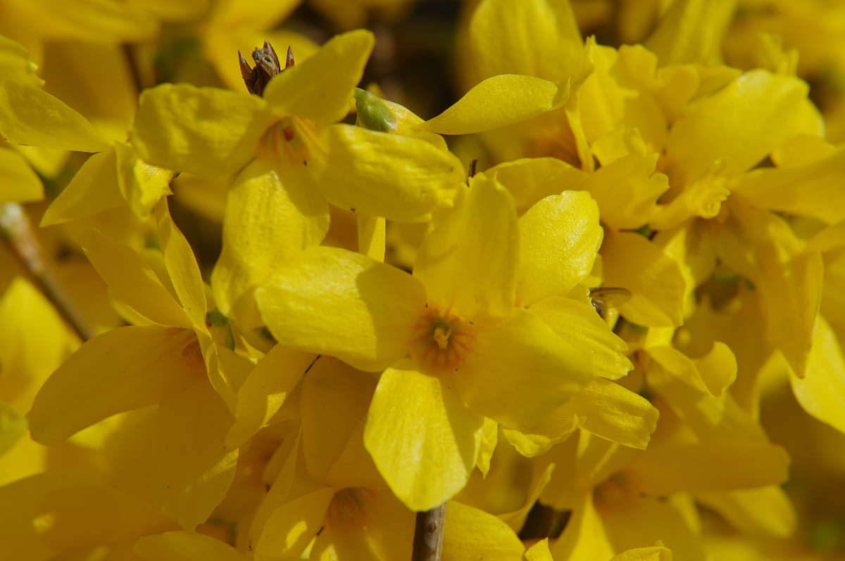 �������� ����� ���� ����� �� PhotoGeek.ru #������ ��� ������� #����� �������������� #������