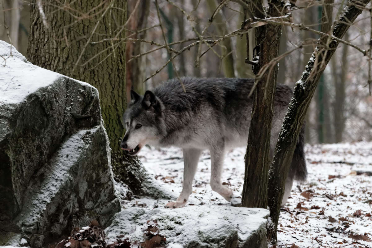 ���� ����� ���� ����� �� PhotoGeek.ru #�������� ��� #������ ��� ������� #����� ��� ��� ��������� #������