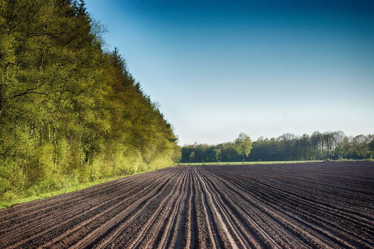 ����-���� ����� ���� ����� �� PhotoGeek.ru #������ ��� ������� #������