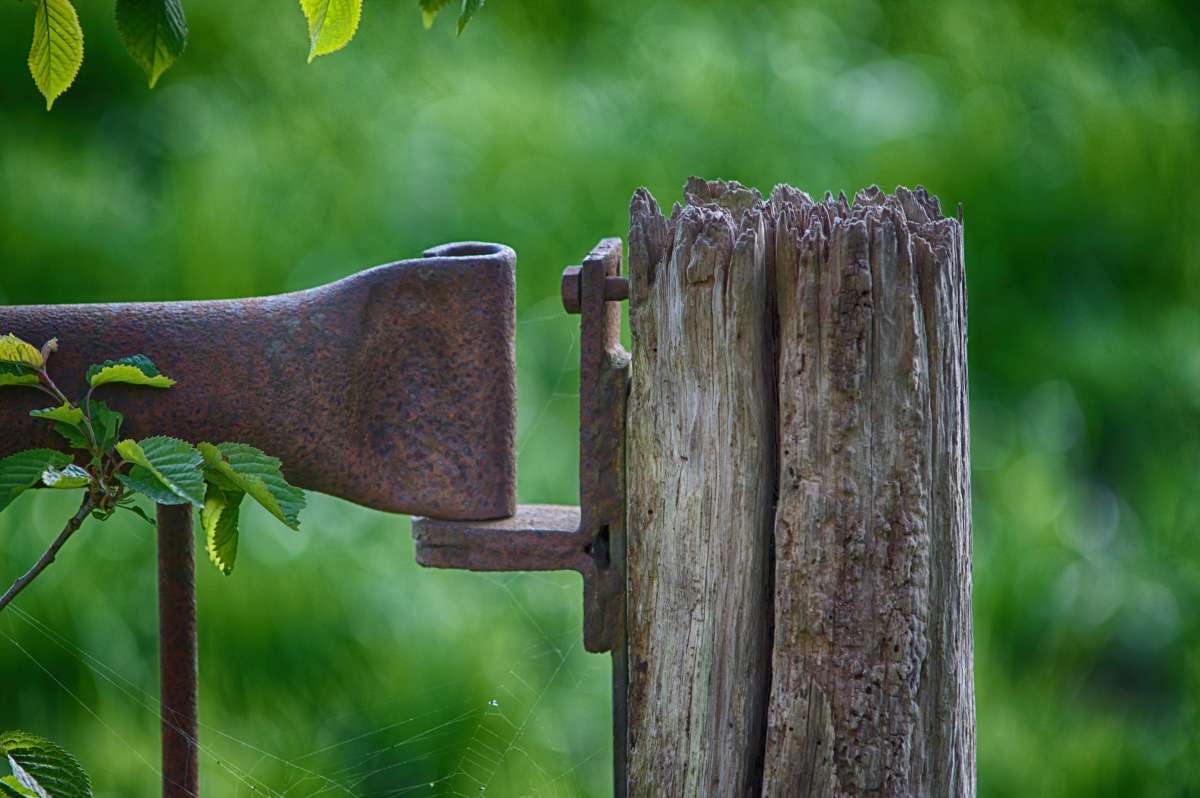 ��� ����� ���� ����� �� PhotoGeek.ru #������ ��� ������� #������