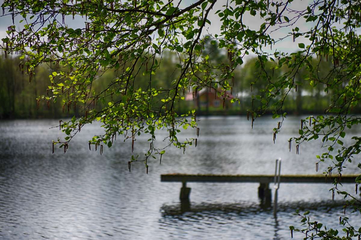 �������� ����� ���� ����� �� PhotoGeek.ru #������ ��� ������� #������