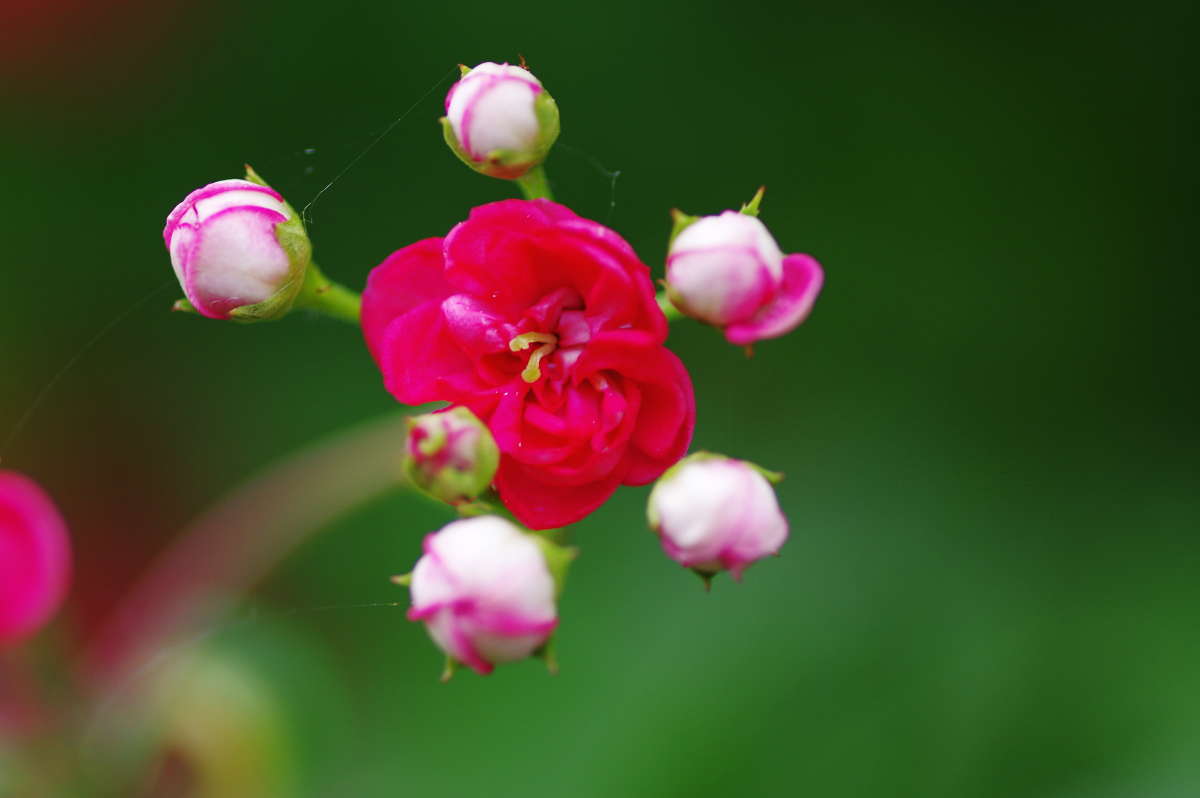 ��������� ����� ���� ����� �� PhotoGeek.ru #������ ��� ������� #����� �������������� #������