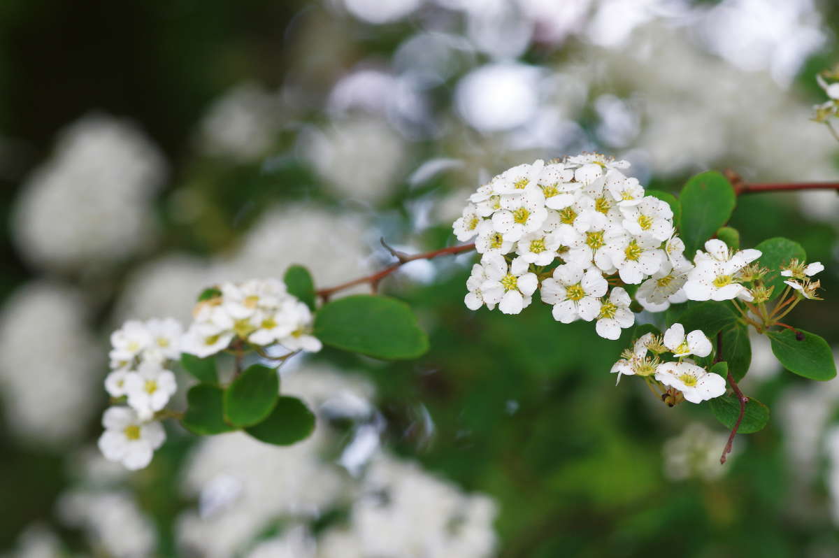 ������������� ����� ���� ����� �� PhotoGeek.ru #������ ��� ������� #����� �������������� #������