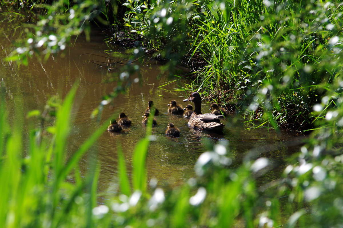 ������ ����� ���� ����� �� PhotoGeek.ru #�������� ��� #������ ��� ������� #����� ��� ��� ���������