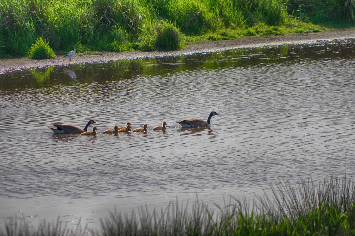 �������� ������� ����� ���� ����� �� PhotoGeek.ru #�������� ��� #������ ��� ������� #����� ��� ��� ��������� #������