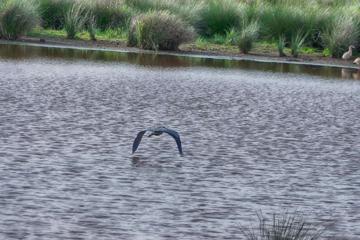 ������ ���� ����� ���� ����� �� PhotoGeek.ru #�������� ��� #������ ��� ������� #����� ��� ��� ��������� #������