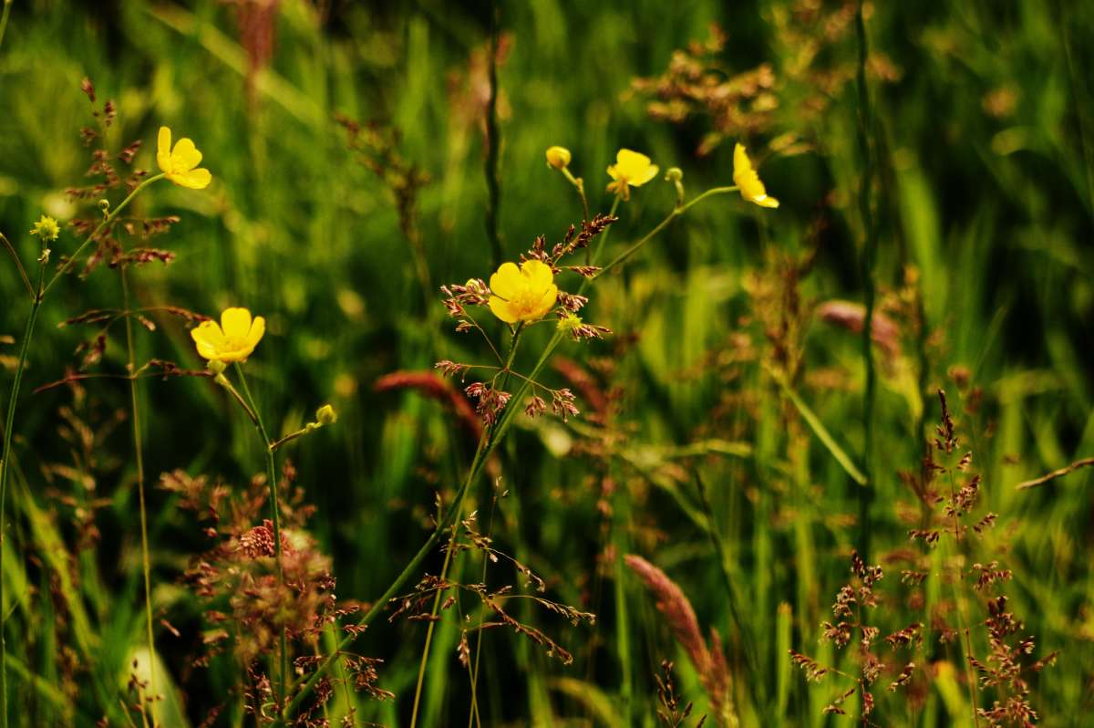 ������ ����� ����� ���� ����� �� PhotoGeek.ru #������ ��� ������� #�������� ���������� #����� �������������� #��������� #������