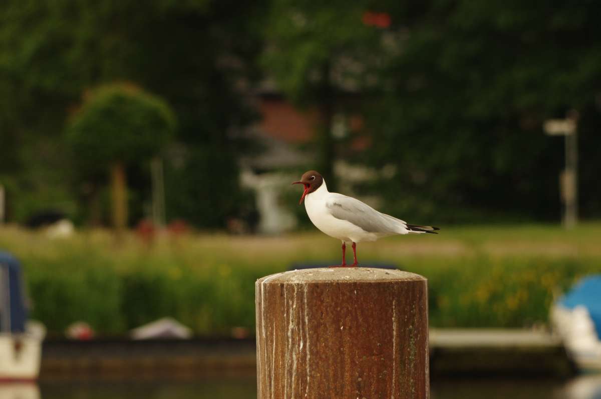 ��������� ����� ���� ����� �� PhotoGeek.ru #�������� ��� #������ ��� ������� #����� ��� ��� ��������� #������ #����� ��������