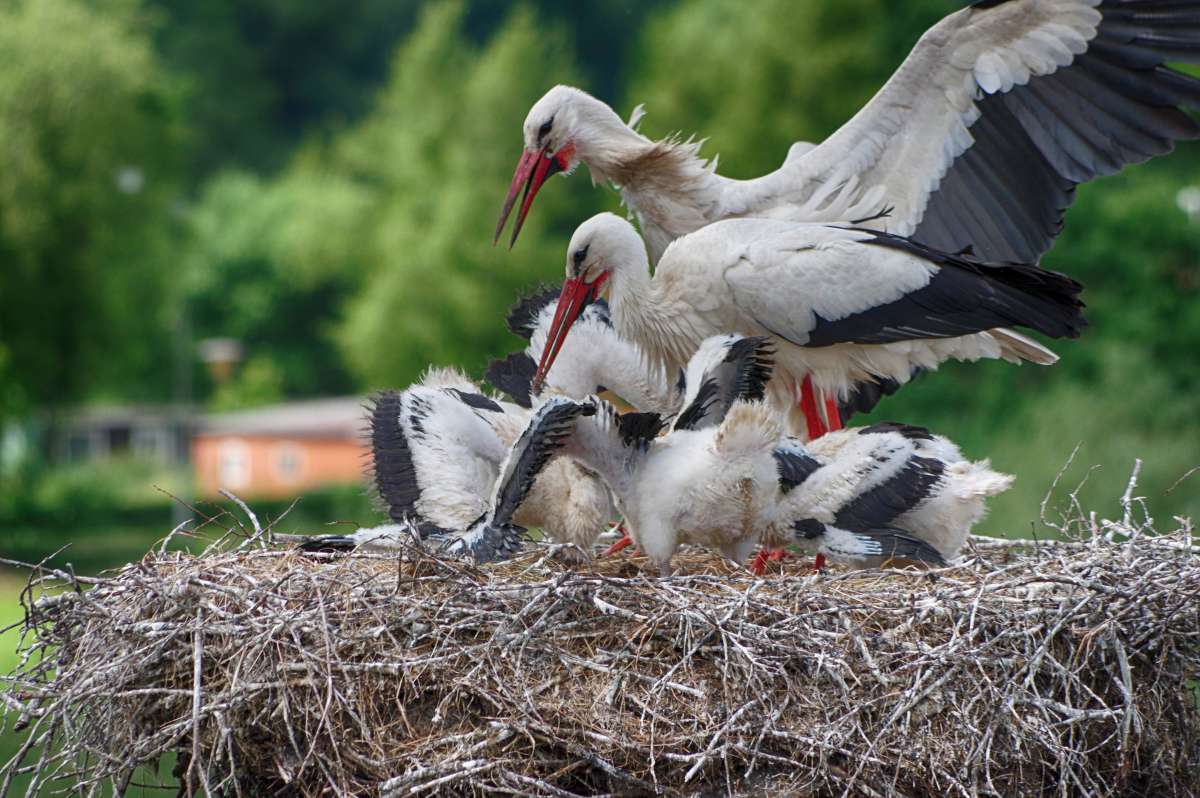 ���� �������� ����� ���� ����� �� PhotoGeek.ru #�������� ��� #������ ��� ������� #������